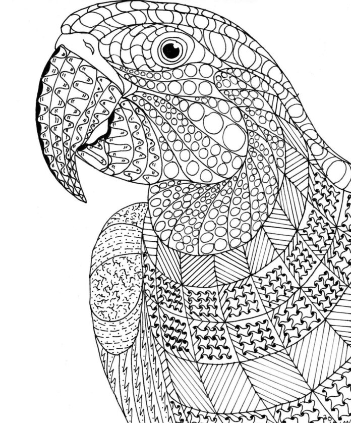 papoušek zentagle omalovánky k vytisknutí