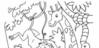 jungle animals coloring book to print