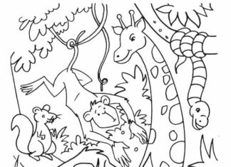 jungle animals coloring book to print