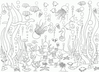 zwierzęta oceanu kolorowanka do drukowania