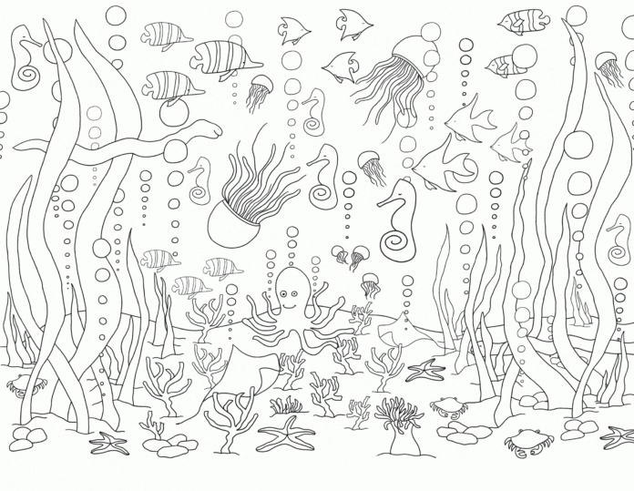 feuille de coloriage des animaux de l'océan à imprimer