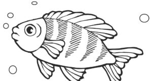 goldfish for luck coloring book to print