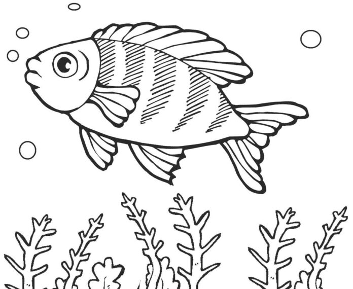 guldfisk for held og lykke malebog til udskrivning