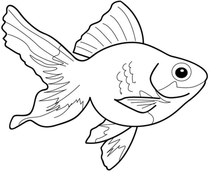 livre de coloriage "poisson rouge sous l'eau" à imprimer