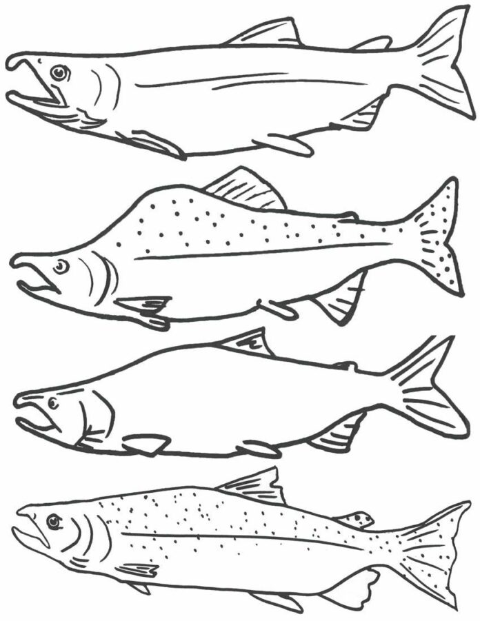 livre de coloriage de saumon à imprimer
