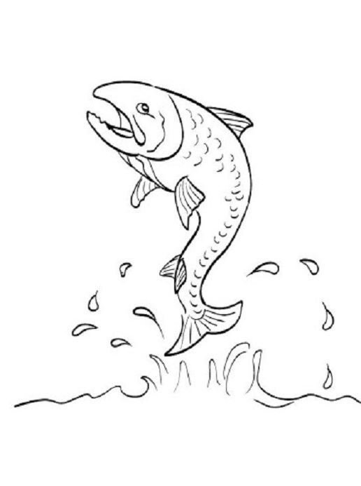Lososové ryby omaľovánky na vytlačenie