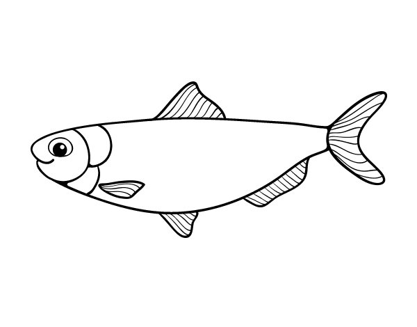 Lososové ryby omaľovánky na vytlačenie