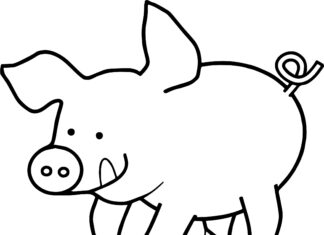 Large piglet coloring book to print