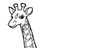 giraffa da colorare libro immagine stampabile