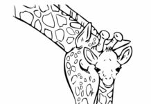 Girafa colorindo imagem do livro para imprimir