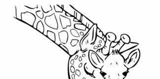 Giraffe coloring book picture to print