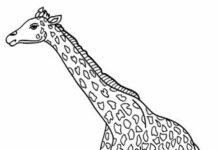 Giraffe Malbuch druckbares Bild