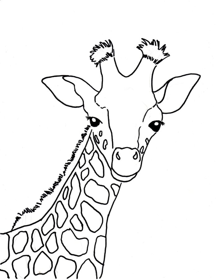 giraf malebog til udskrivning billede