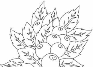 Preiselbeeren und Blätter druckbares Bild