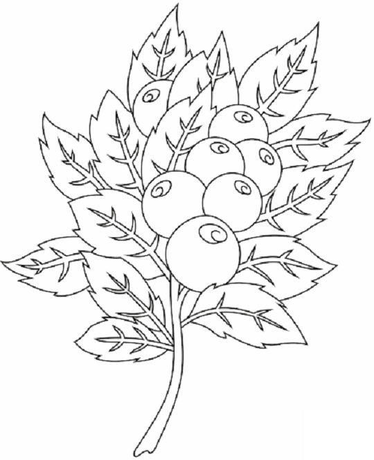 Tranbär och blad som kan skrivas ut