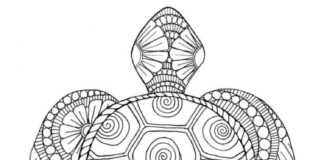 bahenná korytnačka zentangle omaľovánky na vytlačenie