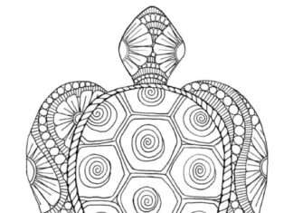 Livre de coloriage de la tortue du zentangle à imprimer