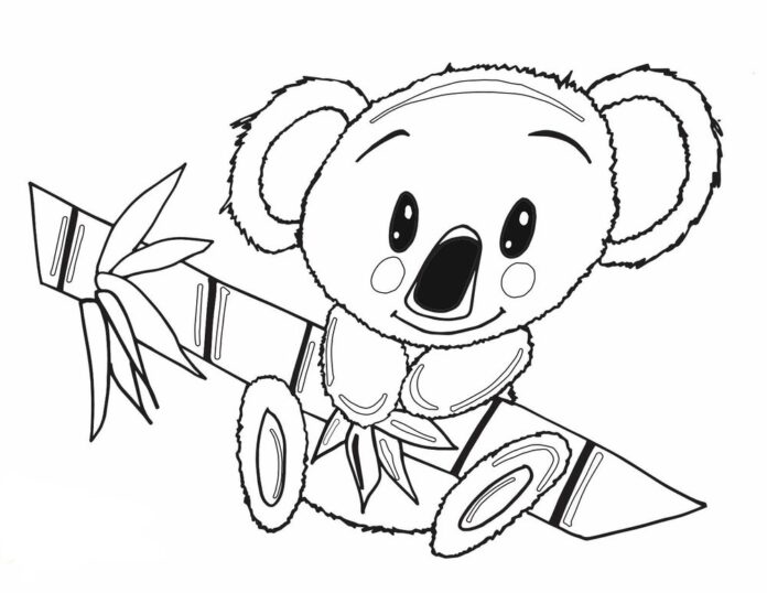 Petit koala - livre à colorier à imprimer