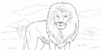 Afrikkalainen leijona viidakossa tulostettava värityskirja