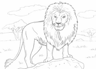 Afrikanischer Löwe im Dschungel Malbuch zum Ausdrucken