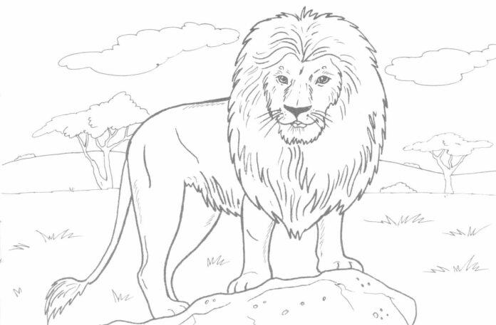 African lion in the jungle coloring book to print