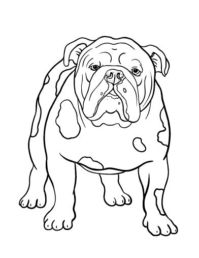 Livre de coloriage pour chien bulldog anglais à imprimer