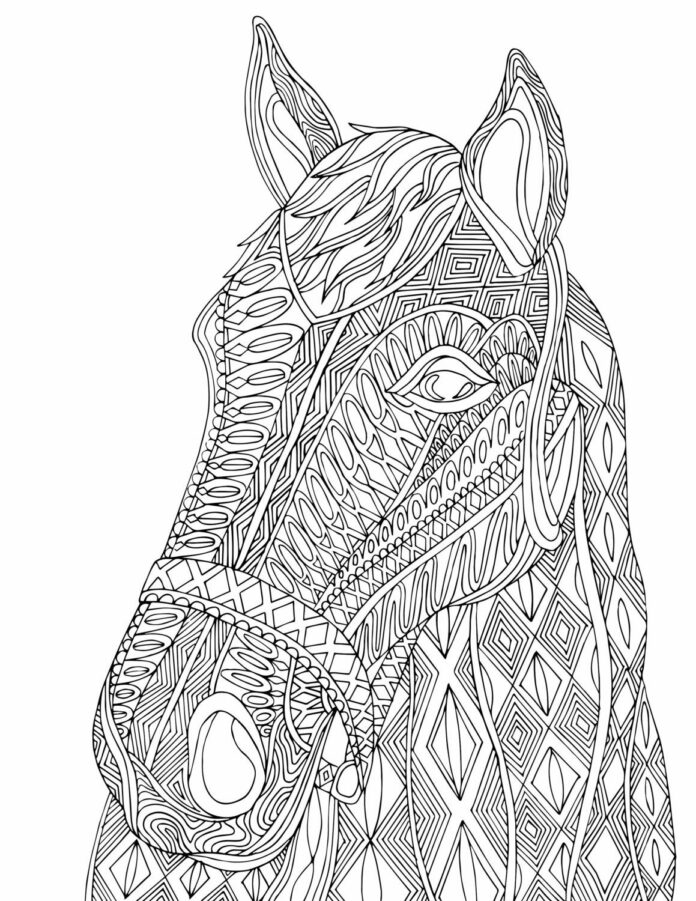anti stress horse coloring book to print