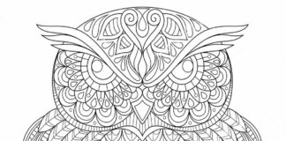 livre de coloriage anti-stress hibou en zentangle à imprimer