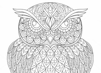 anti-stress owl zentangle coloring book printable