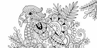 anti-stress colouring parrot coloring book printable