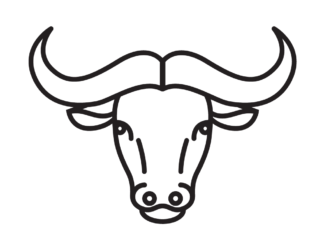 bøffelhoved med horn malebog til udskrivning