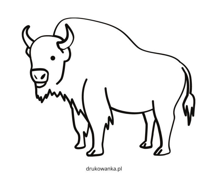 libro da colorare stampabile del bufalo