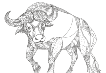 zentangle buffalo färgläggningsbok som kan skrivas ut
