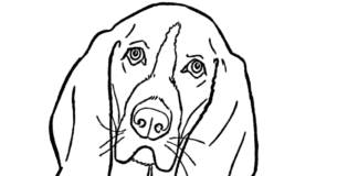 livre de coloriage de chiens beagle pour enfants à imprimer