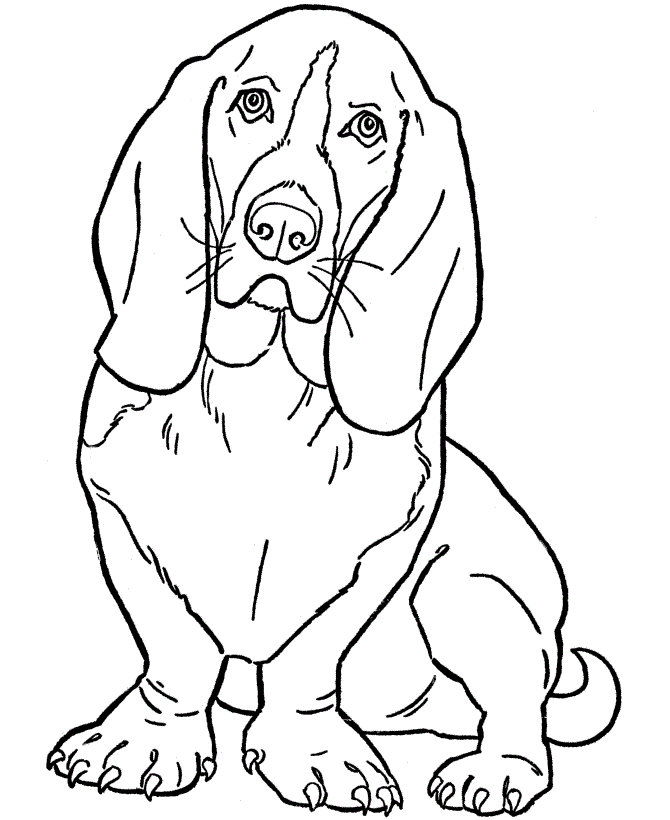 beagle hund til børn, der kan udskrives som malebog til børn