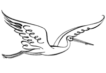 white stork in flight coloring book to print