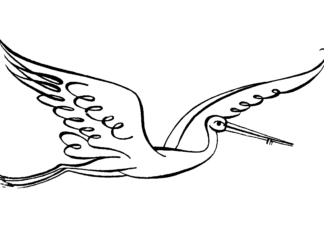 cicogna bianca in volo libro da colorare da stampare