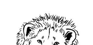 white big lion coloring book to print