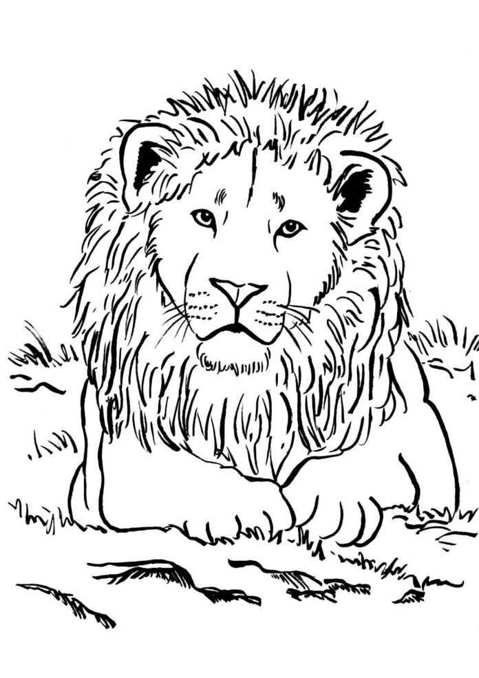 白い大きなライオンの印刷用塗り絵