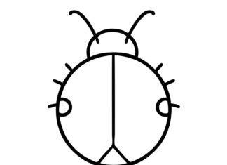 ladybug without dots coloring book to print