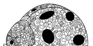 coccinella per adulti zentangle libro da colorare da stampare