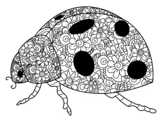 ladybug adult zentangle coloring book printable