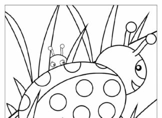 ladybug on a leaf coloring book to print