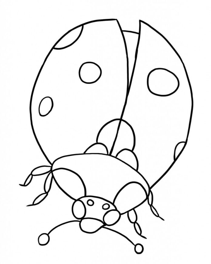 ladybug dots coloring book to print