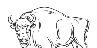 bison i pennen til udskrivning af en malebog