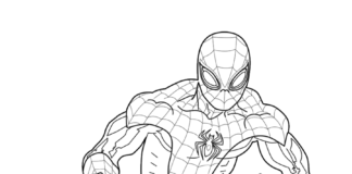 livre de coloriage noir spiderman à imprimer