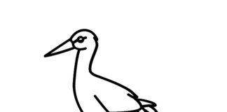 stork kajtek coloring book to print