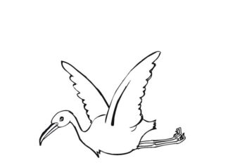 stork in flight coloring book to print