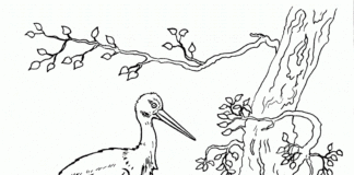 storks spring is already waking up coloring book to print