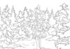 heroes in the forest printable coloring book